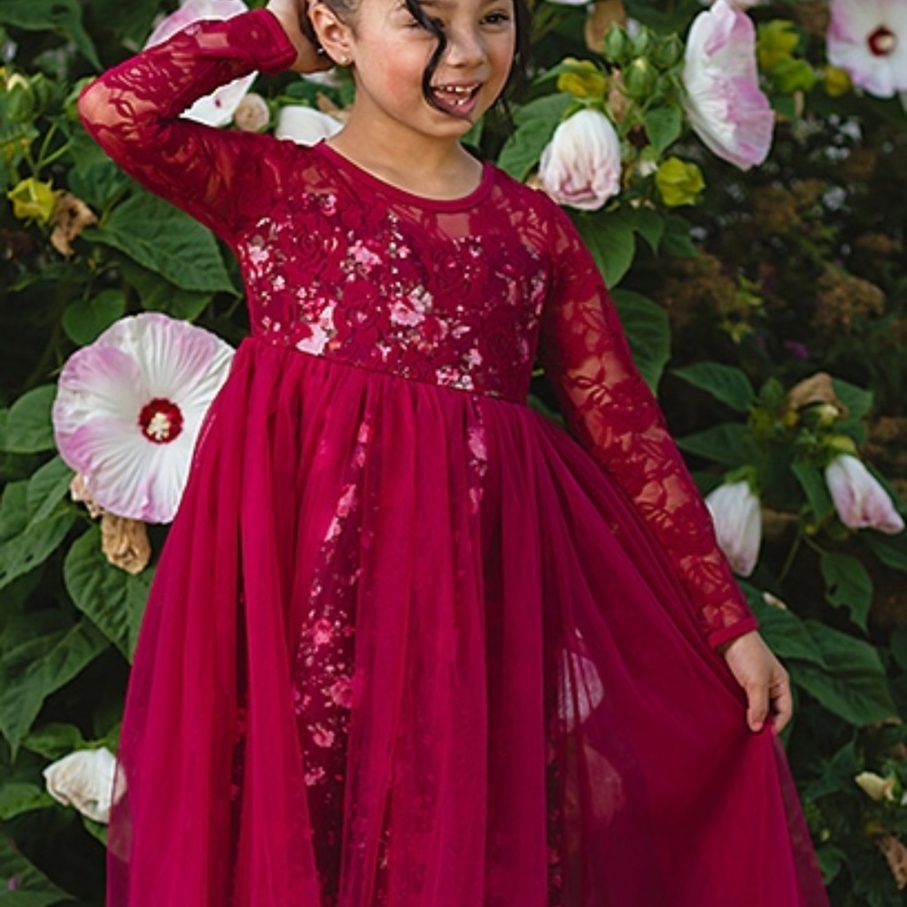 Toddler Girl Christmas Holiday Party Pageant Red Burgundy Floral Dress Size 2T